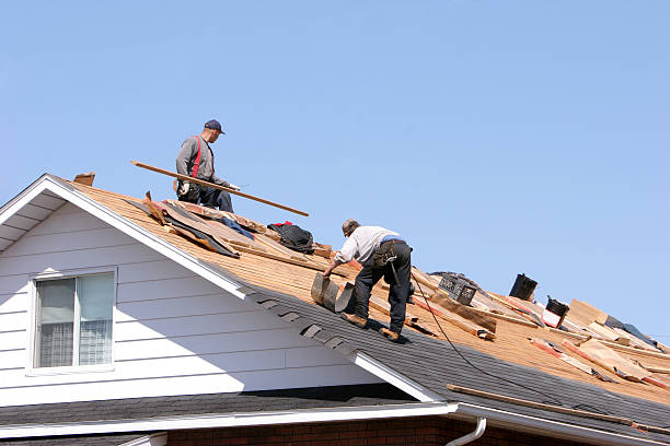 Skylights in Belhaven, NC